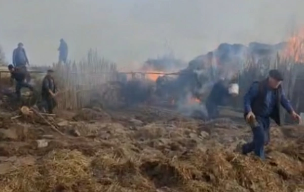Bu təsərrüfatda silsilə yanğınlar törədilir - Ailə narahatdır
