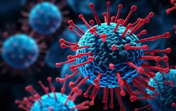 Təhlükəli virus! Yağış mövsümündə artır