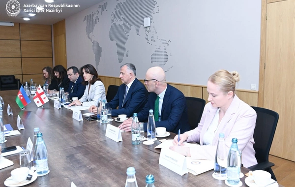Ceyhun Bayramov Gürcüstanda rəsmi səfərdədir