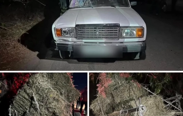 At arabalarının iştirakı ilə baş verən qəzalarda 1 nəfər ölüb, 3 nəfər xəsarət alıb