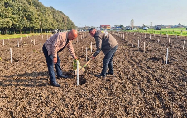 Zəfər Günü ilə əlaqədar 30 mindən artıq ağac əkildi