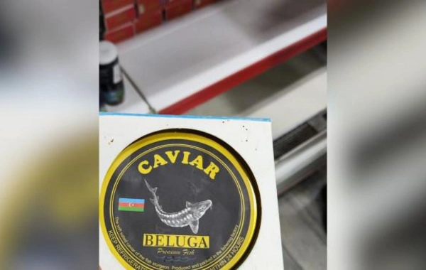 AQTA Çin və Rusiyadan gətirilən kürülərin saxta qablaşdırıldığını aşkarlayıb