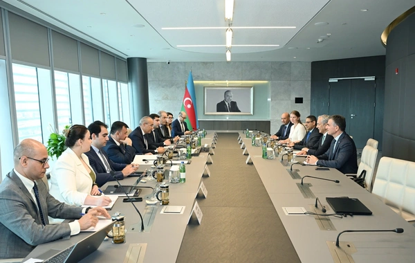 Mikayıl Cabbarov "ACWA Power" şirkətinin baş icraçı direktoru ilə görüşüb