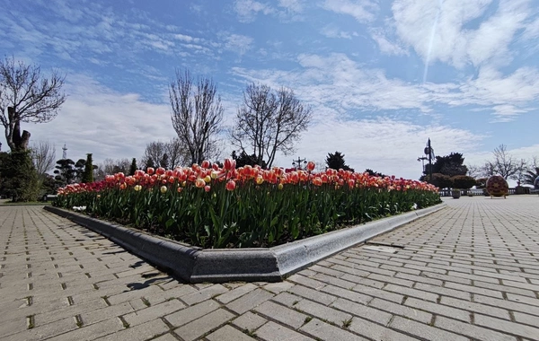 Завтра в Азербайджане будет 22° тепла