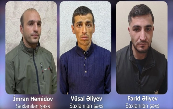 Bakıda market, ev və avtomobillərdən oğurluq edənlər saxlanılıb