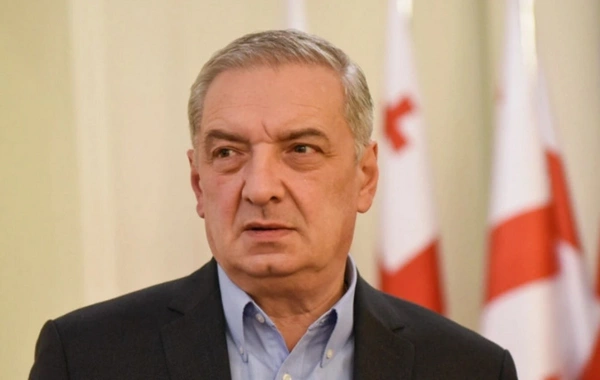 Giorgi Volski: ABŞ vitse-prezidentinin Cənubi Qafqaza səfəri Vaşinqtonun regionda dəstəklədiyi layihələrlə bağlıdır