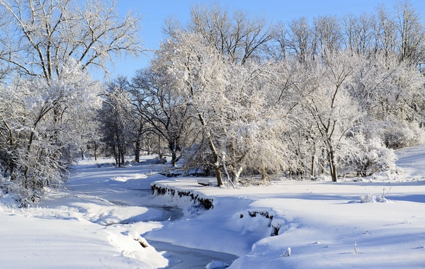 Sabah bu ərazilərə qar yağacaq