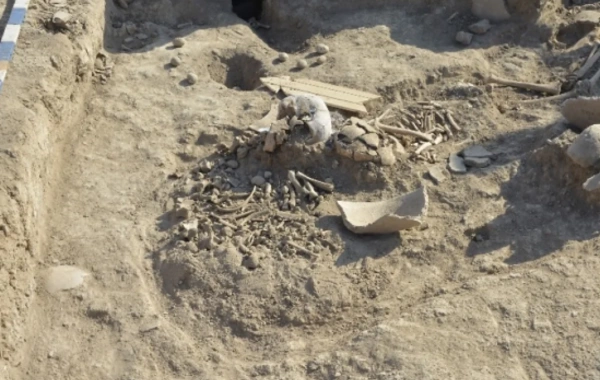 Cəlilabadda ziyarətgah ərazisindən sümük qalıqları çıxarıldı