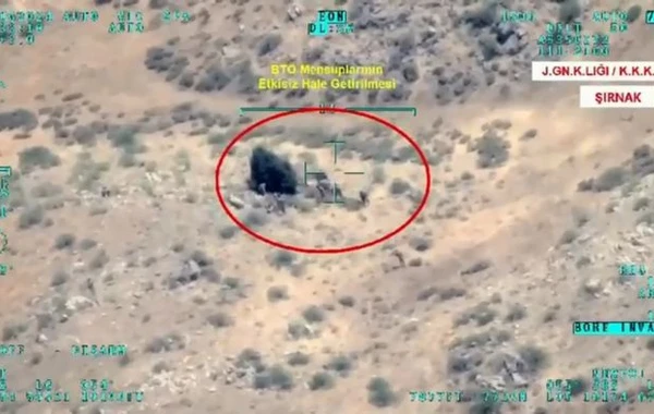 Türkiyədə qırmızı bülletenlə axtarılan terrorçu məhv edilib