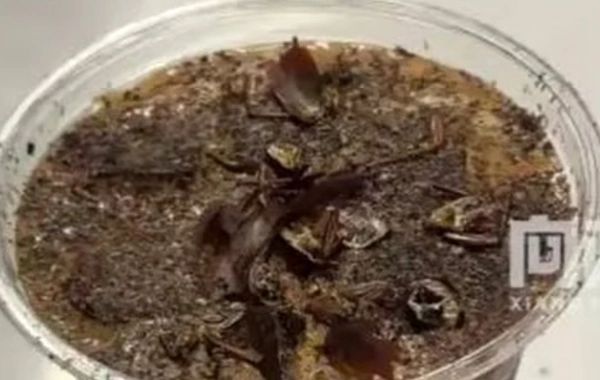 Chinese market introduces cockroach coffee