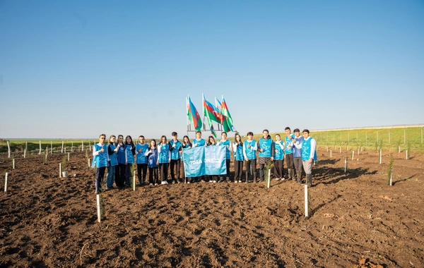 İDEA Sabirabad və Cəlilabad rayonlarında kütləvi ağacəkmə aksiyaları təşkil edib