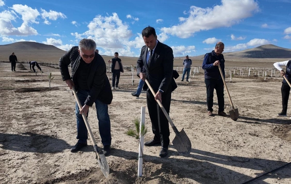 Nazirlik Zəfər Gününə həsr olunmuş ağacəkmə aksiyası keçirib Nazirlik Zəfər Gününə həsr olunmuş ağacəkmə aksiyası keçirib