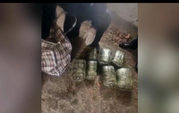 Samuxda külli miqdarda narkotiki satmaq istəyən şəxs saxlanıldı