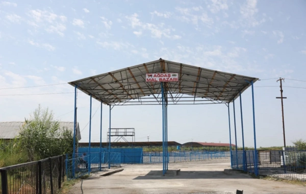 Ağdaş heyvan satışı bazarı fəaliyyətə başlayıb