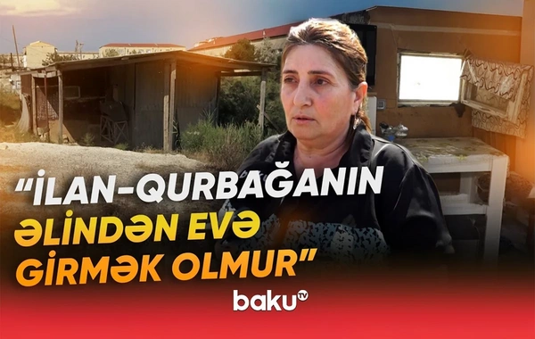 Məcburi köçkün ailəsi çətin vəziyyətdə: Evə ilan-qurbağa girir