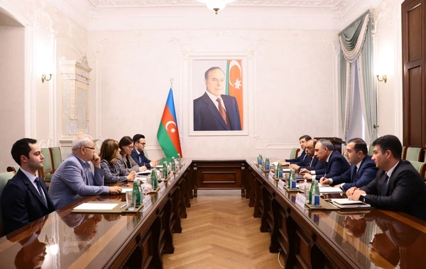 Kamran Əliyev İtkin düşmüş şəxslər üzrə Beynəlxalq Komissiyanın baş direktoru ilə görüşüb