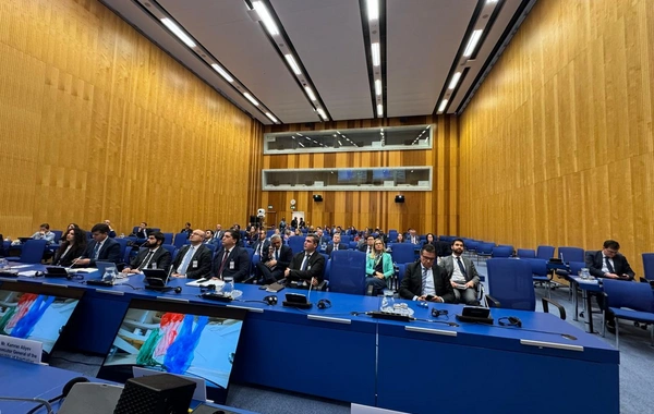 Baş Prokurorluq COP29-la bağlı Vyanada təşviqat tədbiri keçirib
