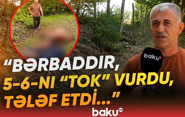 Lerikdə nasaz elektrik xətləri təhlükə saçır: Heyvanları cərəyan vurub