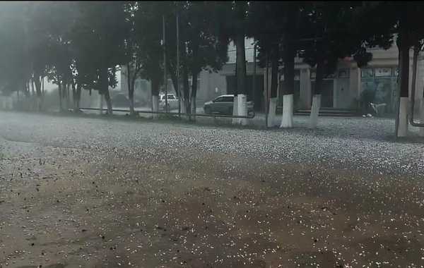 Lənkəranın bir sıra kəndlərinə dolu düşüb