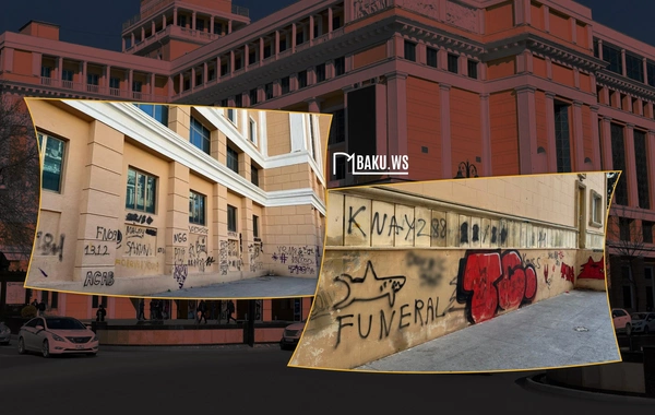 Şəbnəm Həsənova: Bu, sadəcə rəsm deyil, yanlış mesajdır