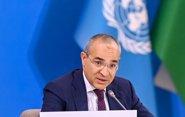 İqtisadiyyat naziri: KOB subyektlərinin sosial-iqtisadi inkişafda çəkisi artır