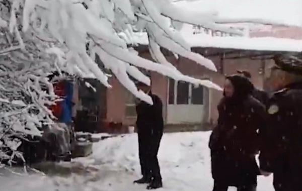 Güclü qar ağacı mağazanın üzərinə aşırdı - Yaşlı qadın...