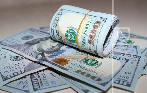 Azərbaycanın xarici dövlət borcunun yeni tərkibi açıqlanıb