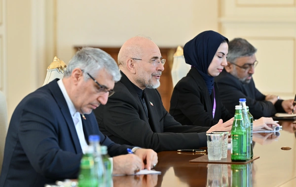 Prezident İlham Əliyev İran İslam Şurası Məclisinin sədrinin başçılıq etdiyi nümayəndə heyətini qəbul edib