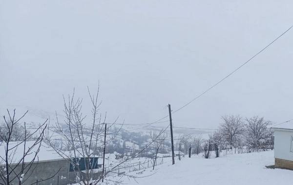 Güclü qar səbəbindən Cəlilabadın 50-dən çox kəndi işıqsız qalıb