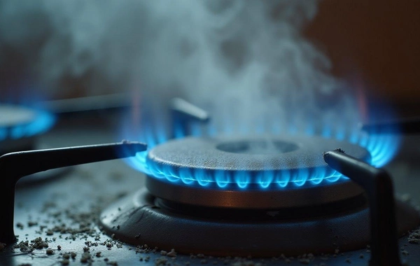 Qış aylarında zəhərlənmələr ən çox nədən baş verir?