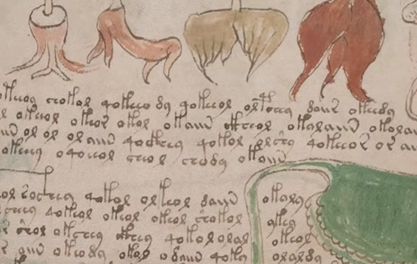 Dünyanın ən sirli kitabı: Voyniç manuskriptinin 500 illik açılmayan şifrəsi