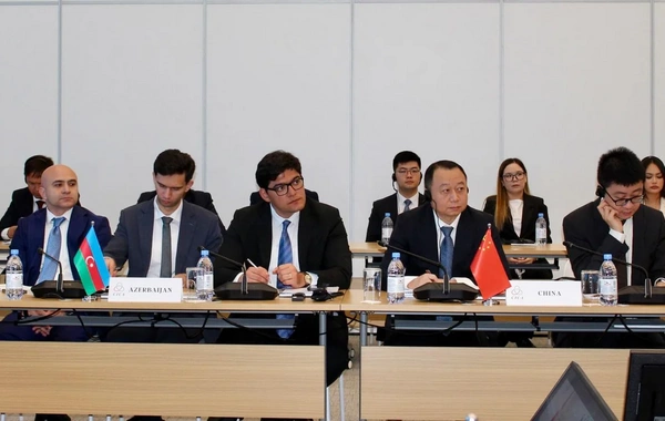 Azərbaycanın sədrliyi ilə AQEM Yüksək Səviyyəli Şəxslər Komitəsinin növbəti iclası keçirilib