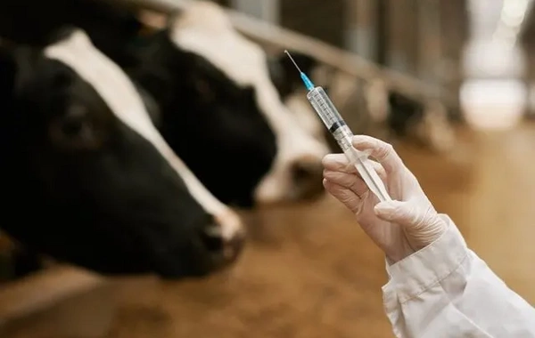 Turkey closes all markets due to dangerous infection