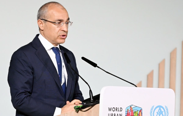 Mikayıl Cabbarov: Əhalinin kütləvi şəkildə didərgin düşməsi ölkə üçün ciddi çağırışlar yaratdı