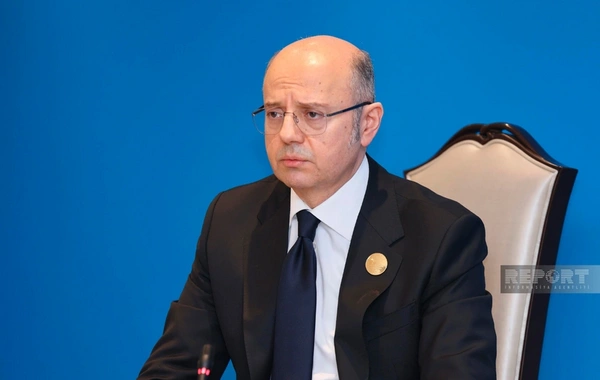 Pərviz Şahbazov: Azərbaycan TAP vasitəsi ilə Avropaya 54 milyard m3-dən çox qaz tədarük edib