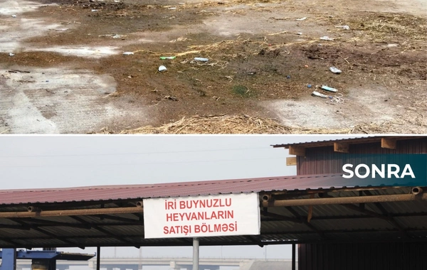 İki rayonda heyvan bazarları fəaliyyətə başlayıb