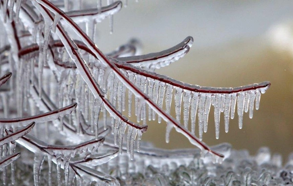 Sabah Bakıda 10° isti olacaq