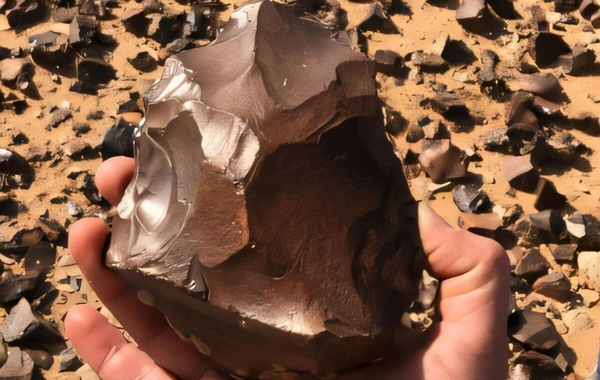 Scientists have put forward a new hypothesis for the emergence of stone tools