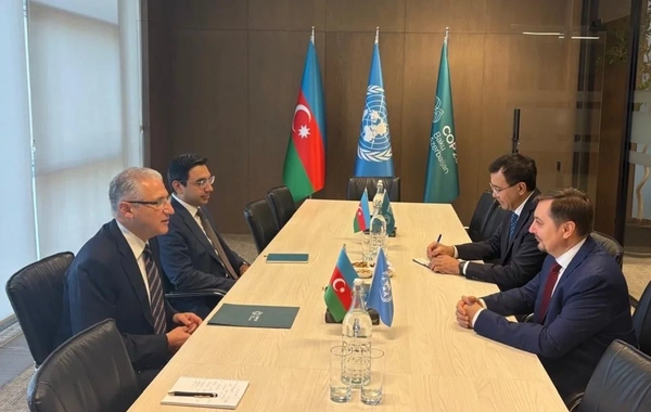 Azərbaycanla BMT Xəzərdə suyun səviyyəsinin azalmasını müzakirə edib
