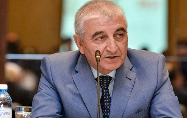 Məzahir Pənahov Qazaxıstanda parlament seçkilərini izləyəcək