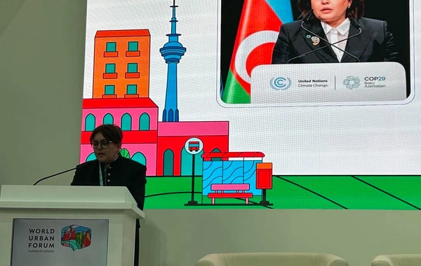 Umayra Tağıyeva: Azərbaycan iqlim dəyişikliyi üzrə Xüsusi Hesabat qərarının hazırlanmasında fəal iştirak edib