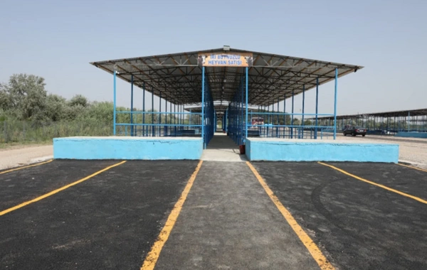 Sabirabad heyvan satışı bazarı fəaliyyətə başlayıb