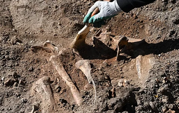 В Германии обнаружили массовое захоронение