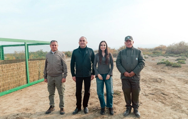 Leyla Əliyeva Mingəçevirdə ekoloji aksiyalarda iştirak edib