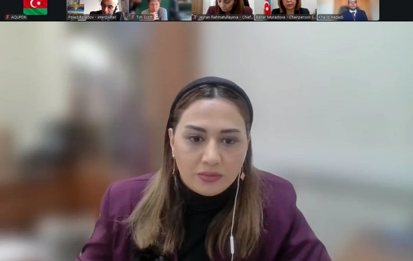 Azərbaycanda "Roblox" platformasının fəaliyyəti məhdudlaşdırıla bilər