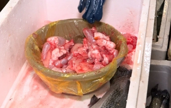 Bakıdakı bazarlardan birində balıq kürüsü satışında ciddi nöqsanlar aşkarlanıb