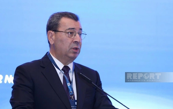 MM-in komitə sədri: AŞPA ilə "qapı"nı biz bağlamamışıq