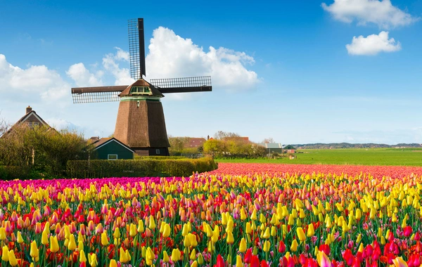 8 mart günü Azərbaycanda 22° isti olacaq