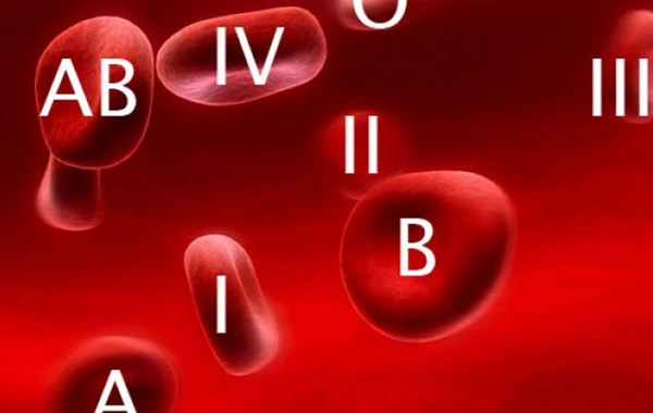 Единственная группа крови, носители которой почти никогда не полнеют