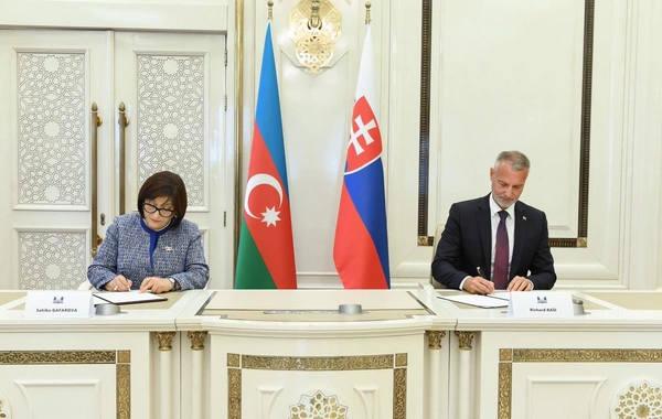 Sahibə Qafarova Slovakiya Milli Şurasının sədri ilə görüşüb